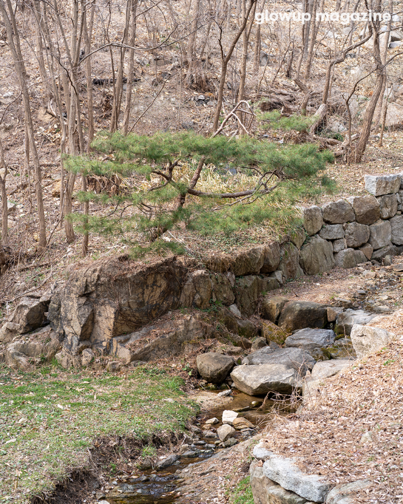 서촌-인왕산-숲속쉼터-추천