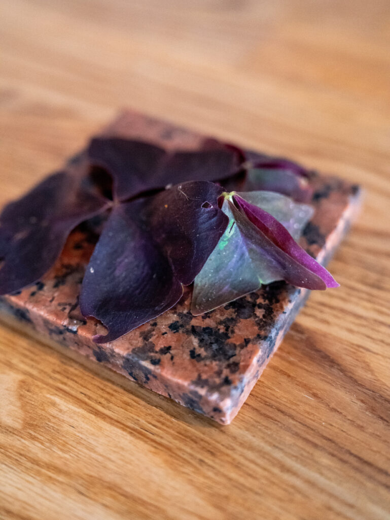 성수동-뚝섬-맛집-제일-공간-김주환