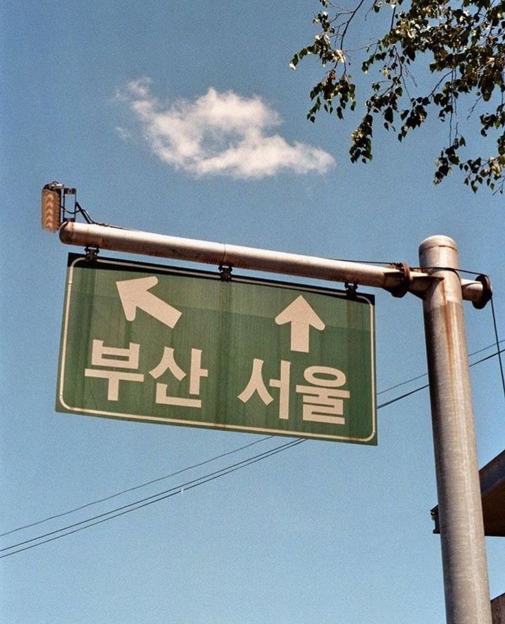 부산-인구