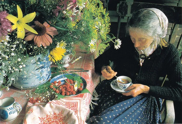 타샤튜더-소공녀-바람의화원-삽화-일러스트