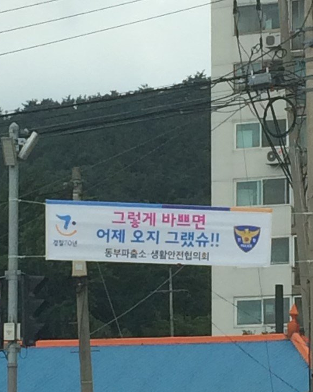 ORIGINAL 커버이미지