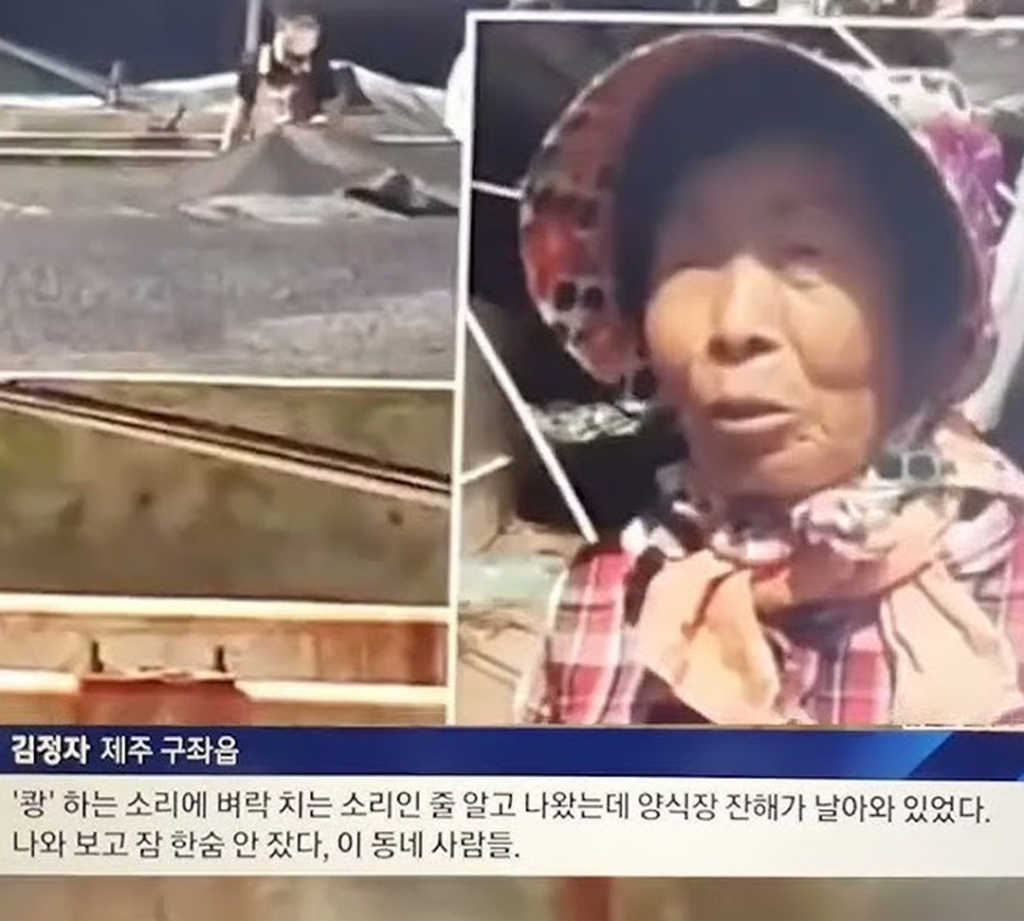 제주-제주어-제주방언-뭐랭하맨-제주도-폭싹속았수다-우리들의블루스