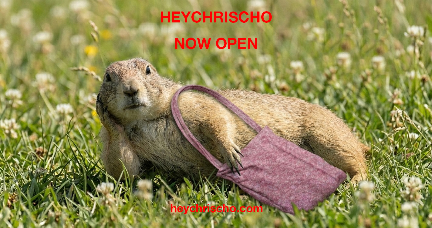 베를린, 런던, 파리의 색감과 질감을 담아 커버이미지